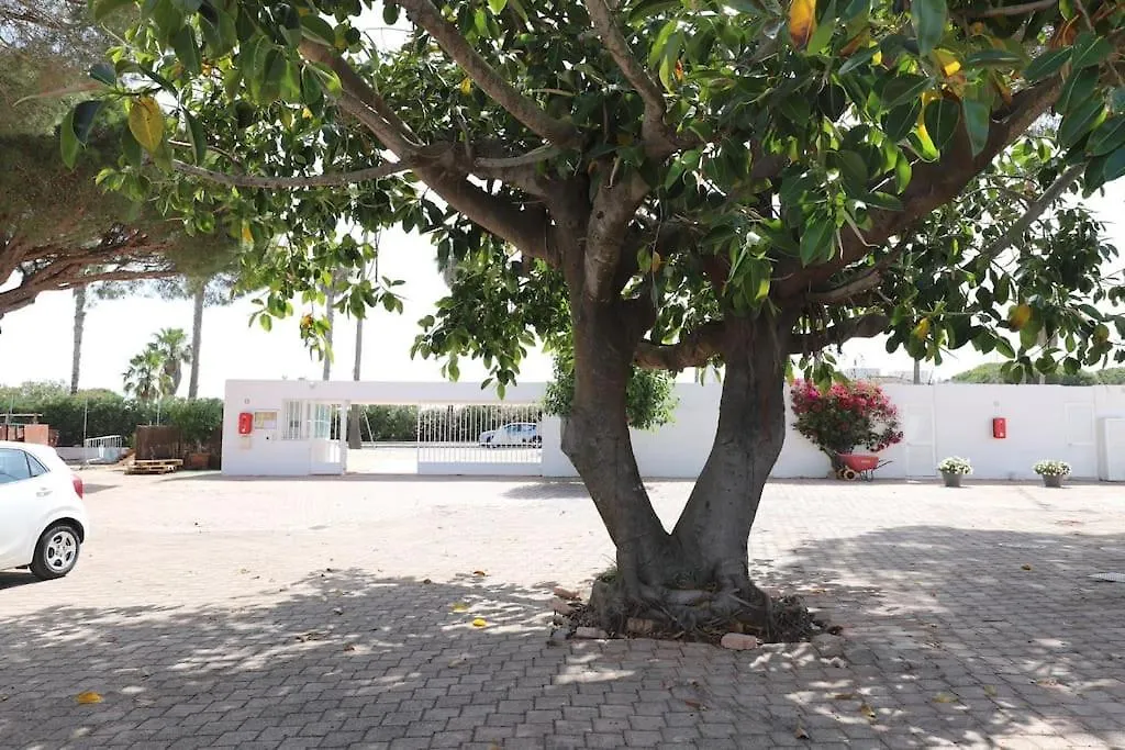 Chalet En Conjunto Augusta Golf Novo Sancti Petri Nyaraló